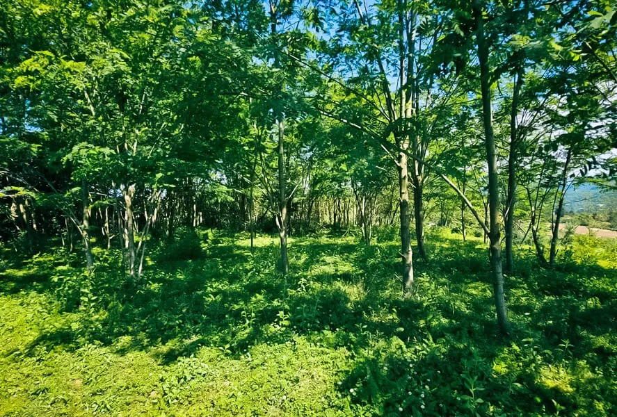 Земля, 5500 м²