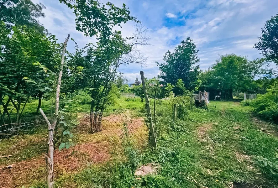 ЖК Oasis