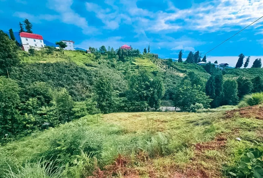 House, 3804 m²