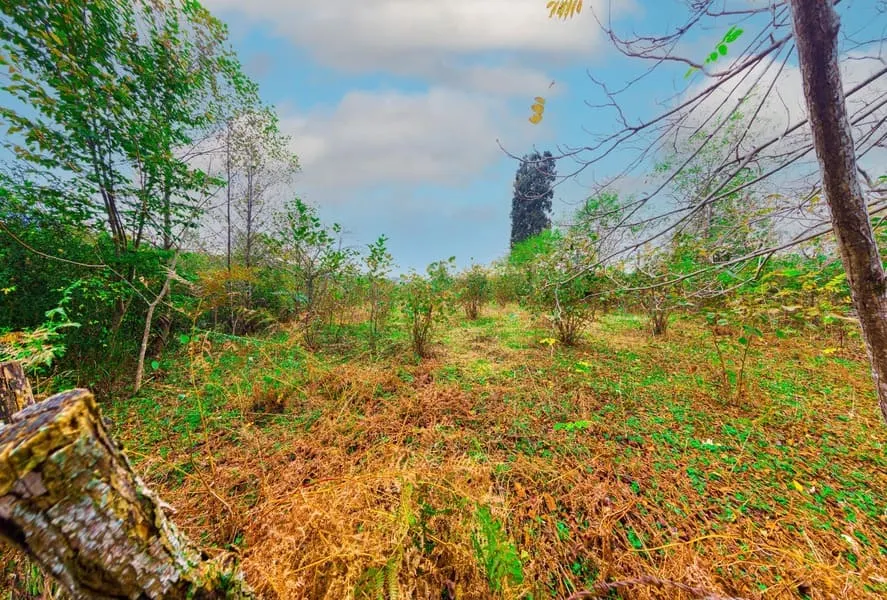 Land, 2700 m²