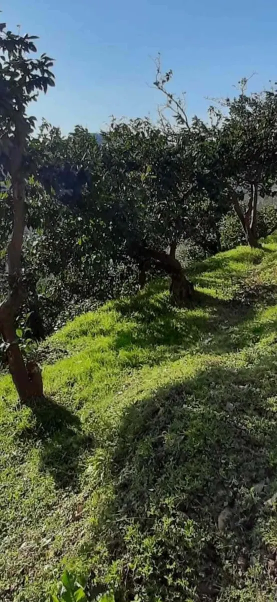 Land, 2502 m²