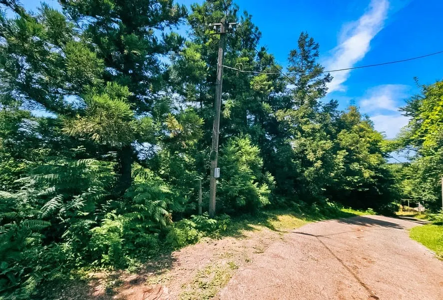 Land, 1000 m²