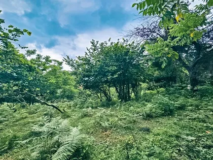 Plot, 2249 m²