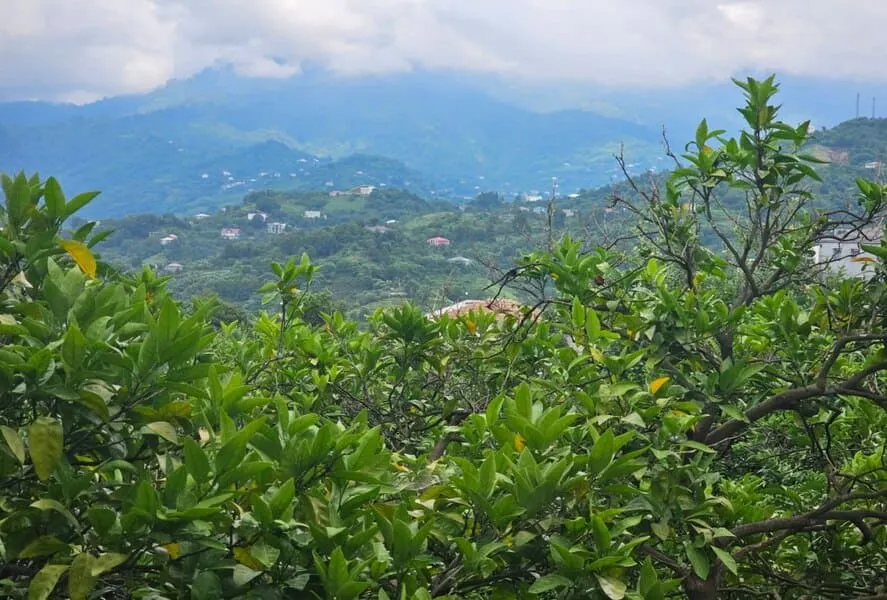 Land, 1040 m²