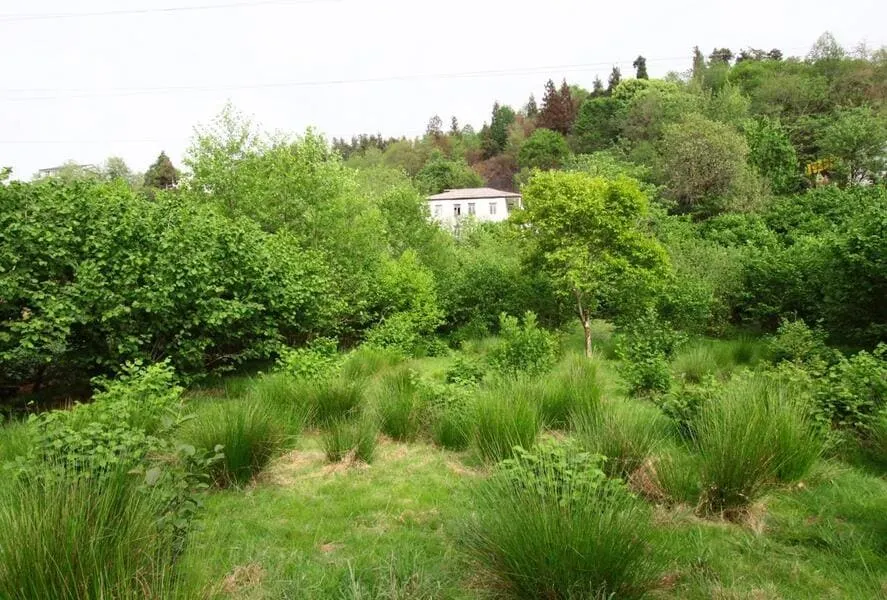 Land, 3800 m²