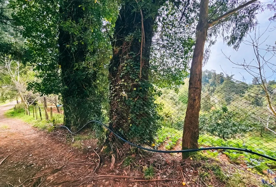 Land, 1944 m²