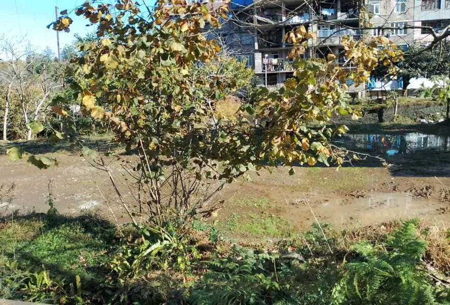 Land, 1970 m²