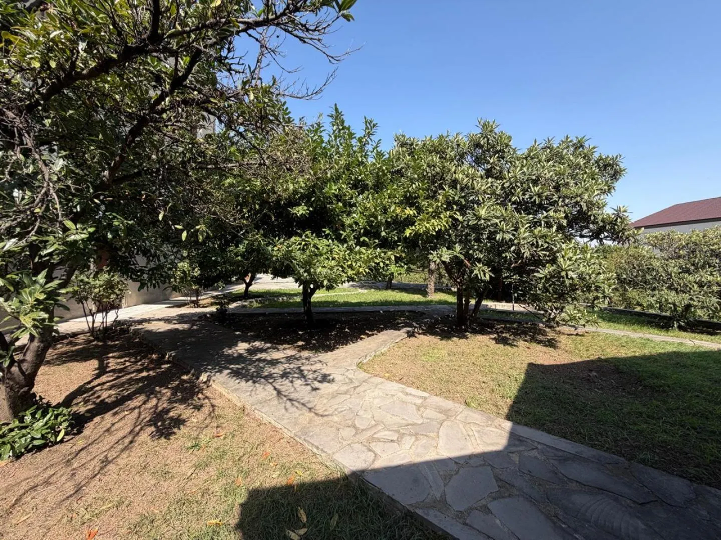 House, 17-room, 800 m²