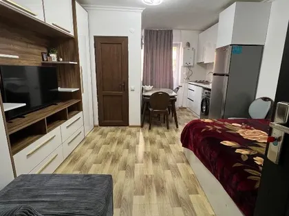 ბინა, 1-ოთახიანი, 25 მ²