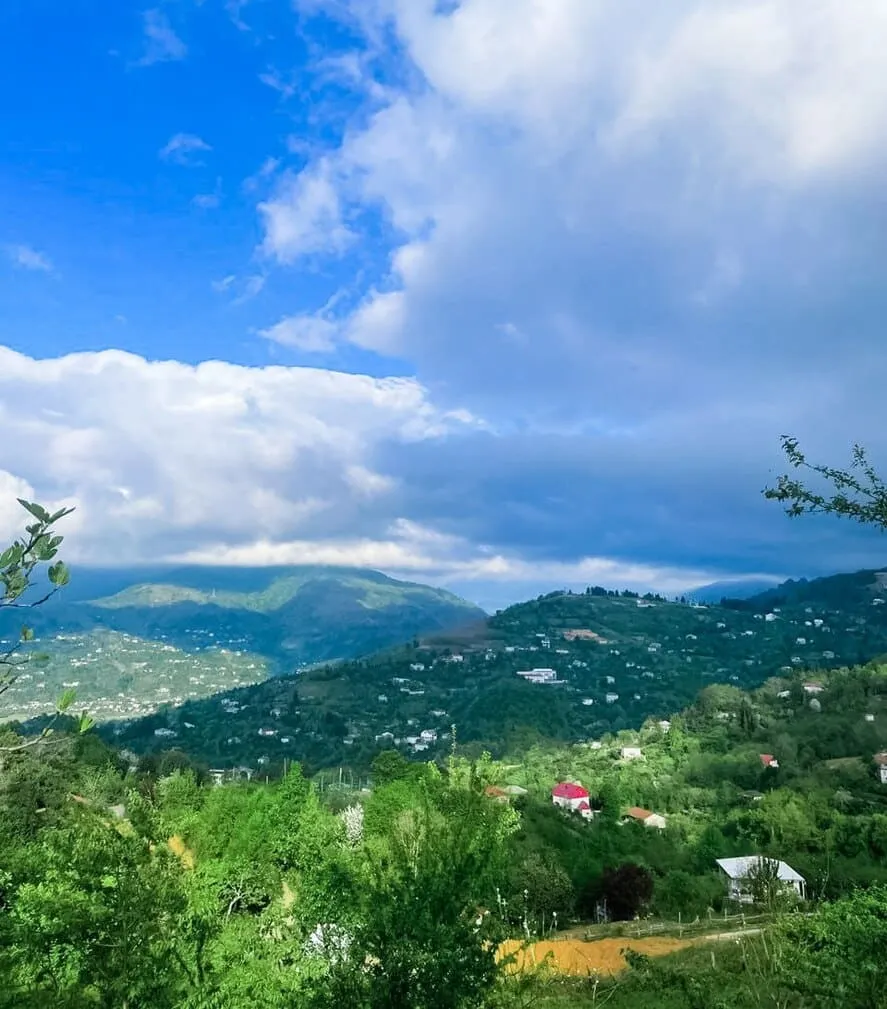Land, 1800 m²
