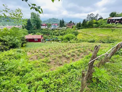 Plot, 1001 m²