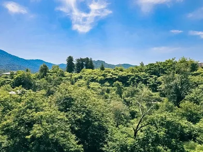 Plot, 6700 m²