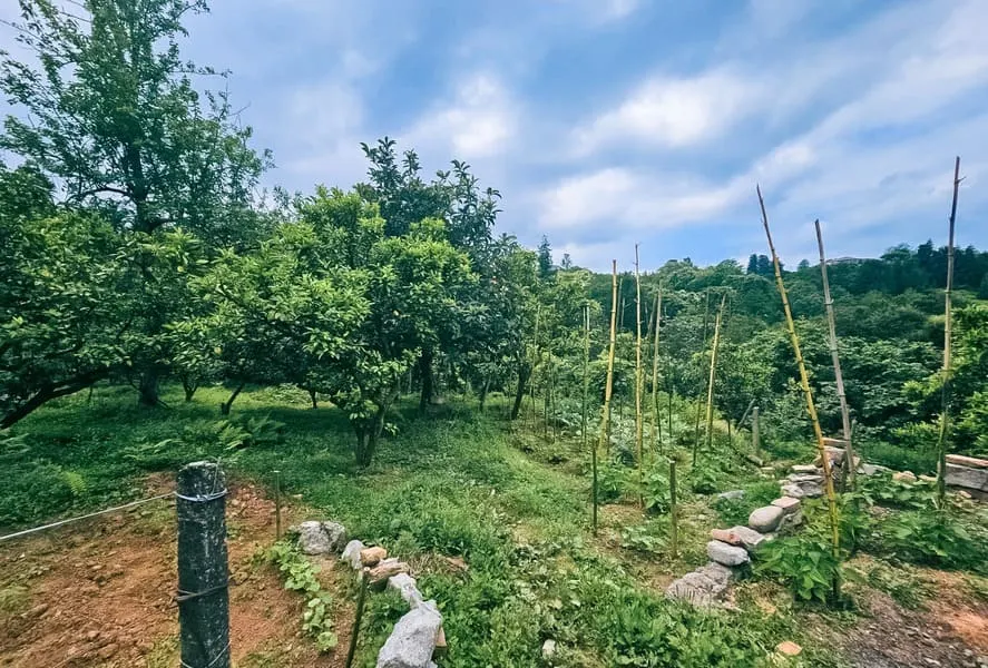 Land, 4195 m²