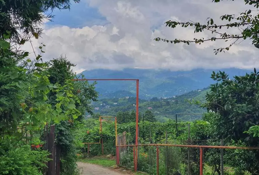 Land, 1040 m²