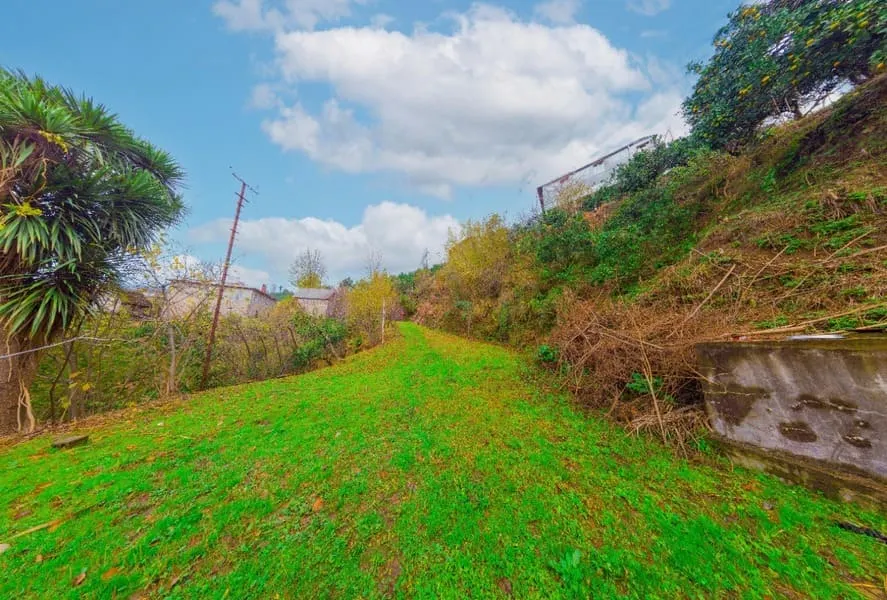 Land, 2504 m²
