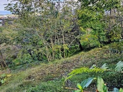 Plot, 2000 m²