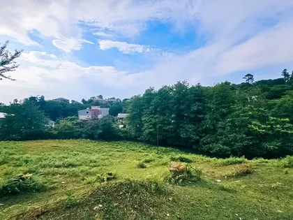 Plot, 3993 m²