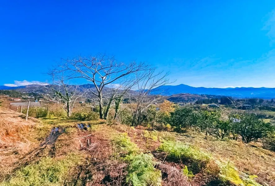 Land, 2750 m²