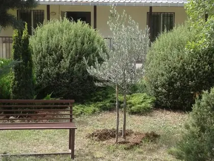 Дом, 4-комн., 220 м²