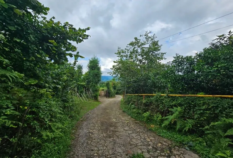 Land, 1040 m²