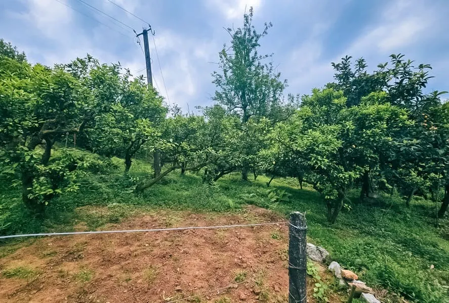 Land, 4195 m²