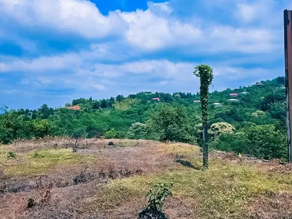 Plot, 1000 m²