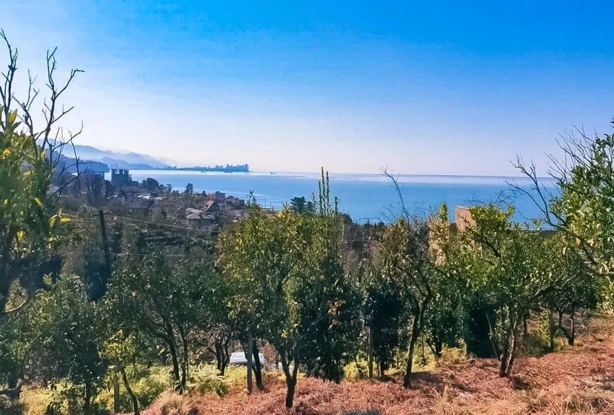 Land, 2750 m²