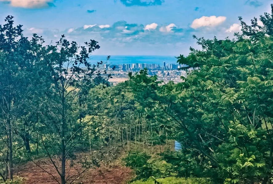 Land, 2292 m²