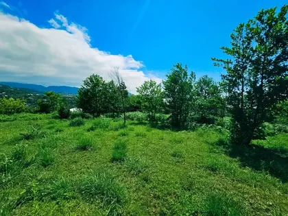 Plot, 5500 m²