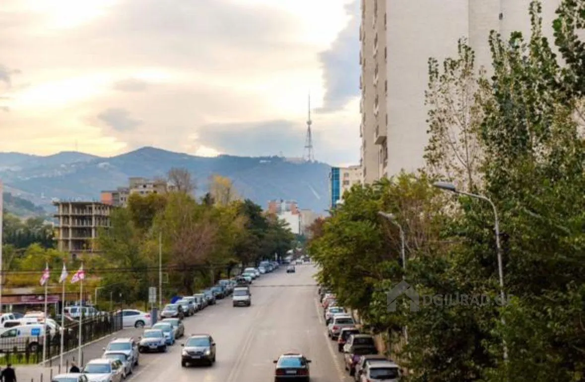 Apartment, 2-room, 55 m², Idea Avlabari