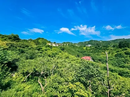 Plot, 5641 m²