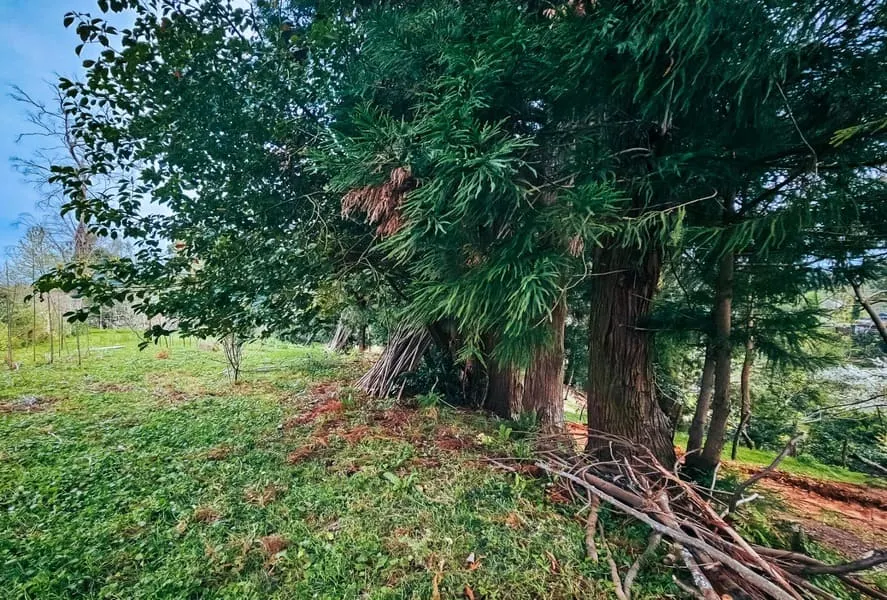 Land, 3300 m²