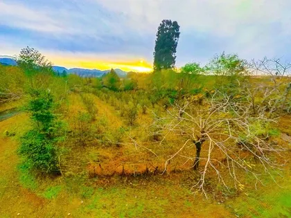 Plot, 2700 m²