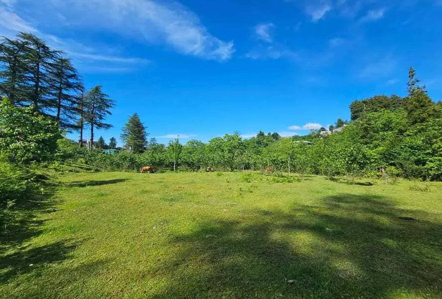 ЖК Chakvi