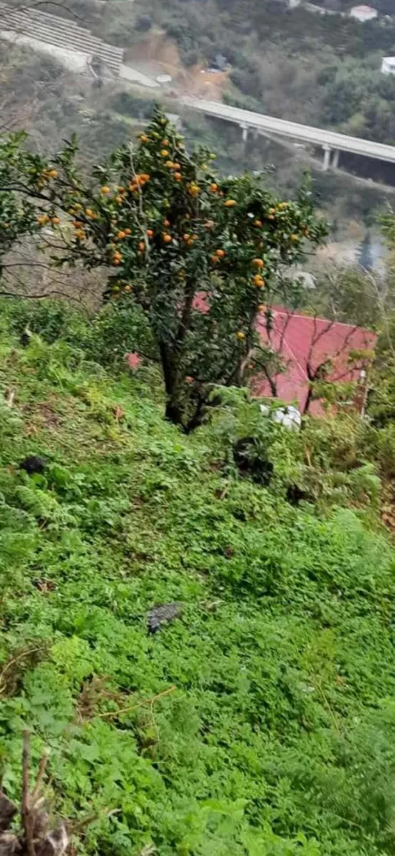 Land, 2502 m²