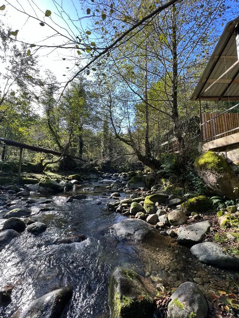 Дом, 5-комн., 250 м²