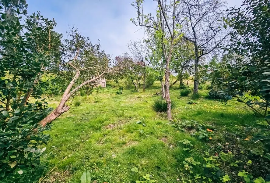 Land, 5000 m²