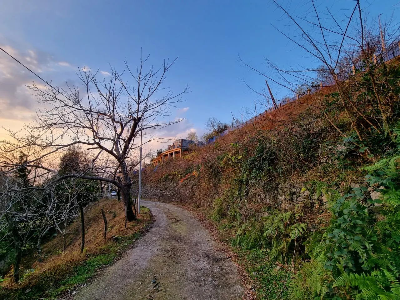 Land, 2600 m²