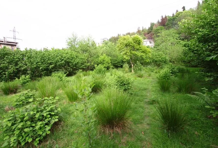 Land, 3800 m²