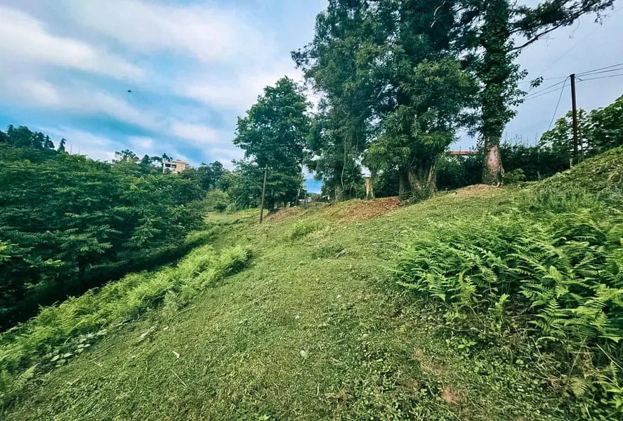 Land, 3993 m²