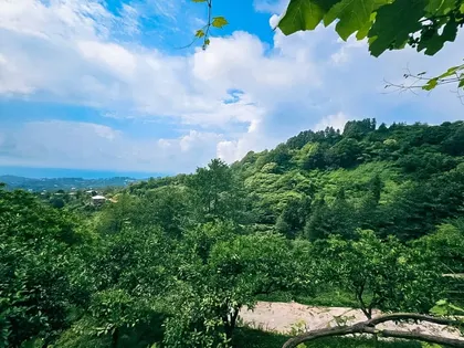 Plot, 2414 m²