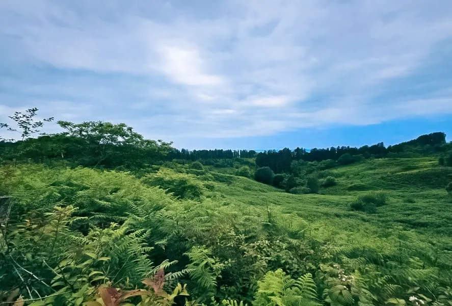 Green Cape residential complex