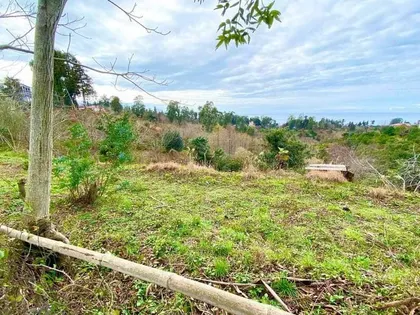 Plot, 2000 m²