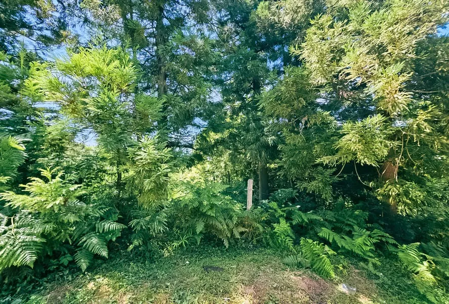 Land, 1000 m²