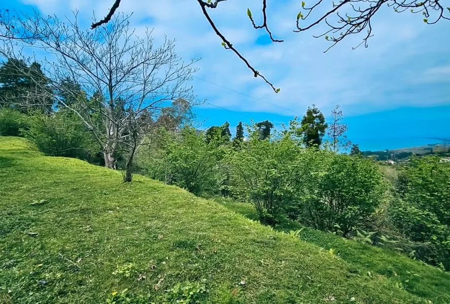 Land, 3300 m²