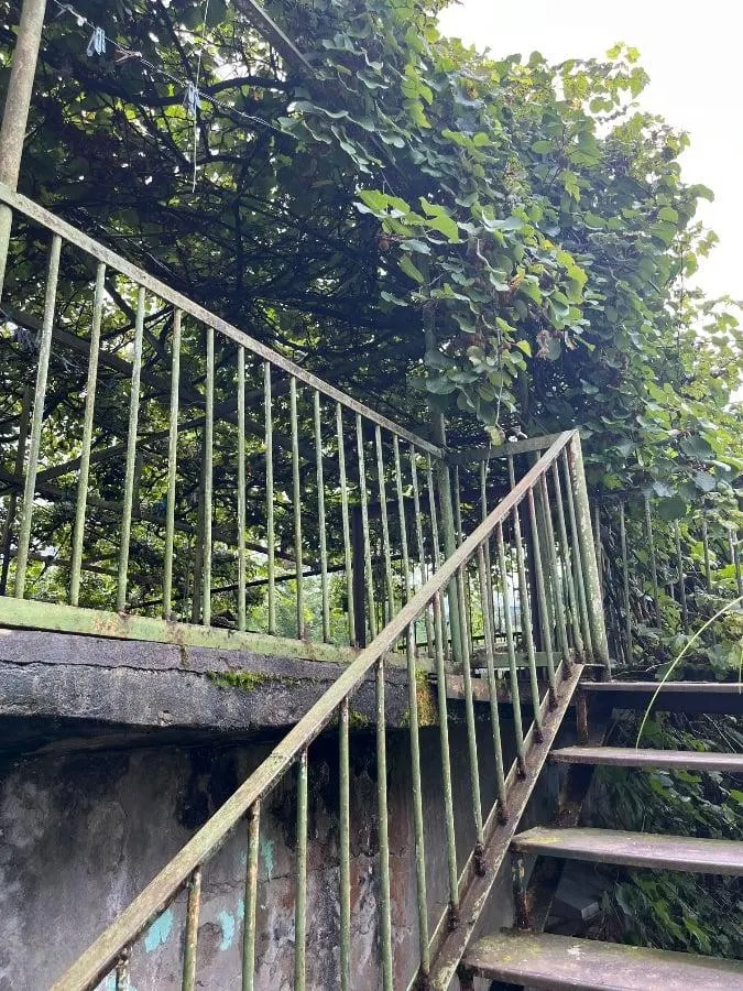 House, 5-room, 300 m²