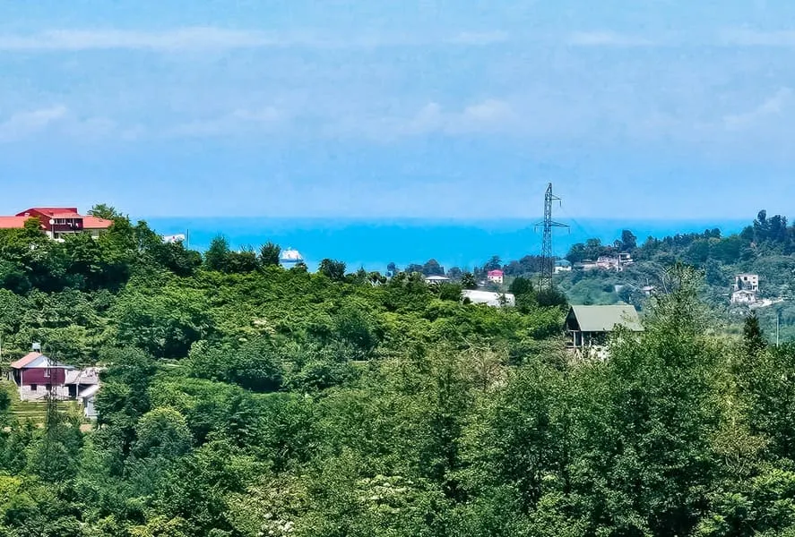 Земля, 2800 м²