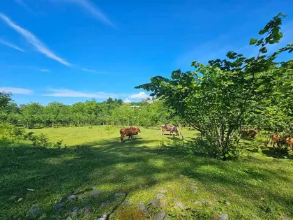 Plot, 2400 m²