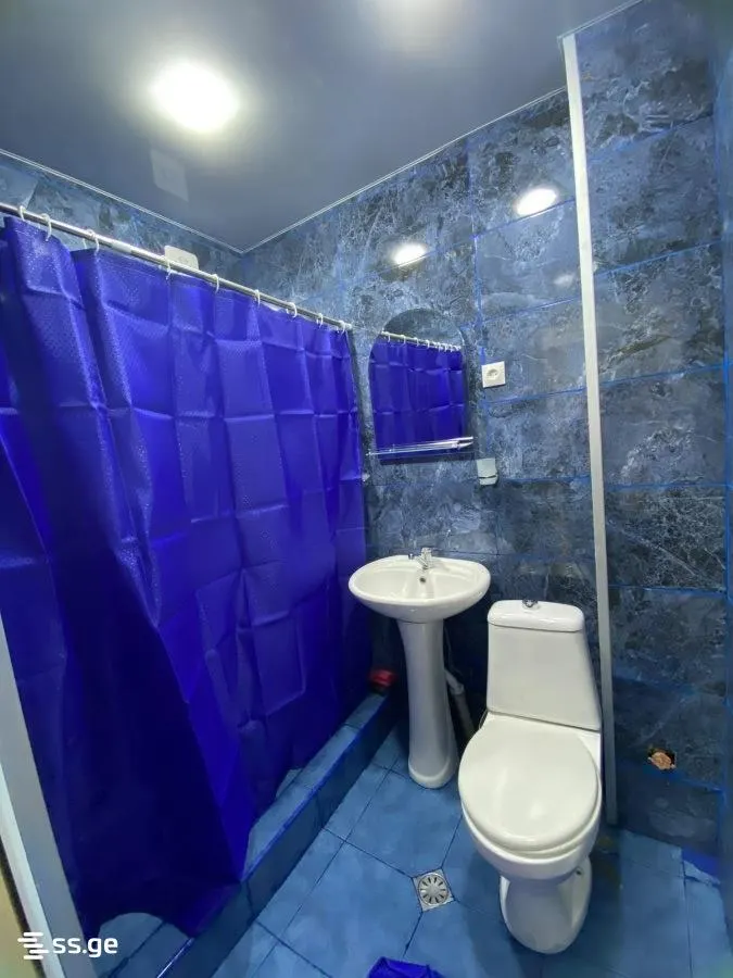 Apartment, 2-room, 50 m², Tsulukidze St, 15