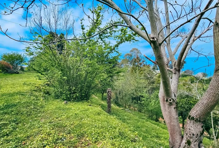 Land, 3300 m²
